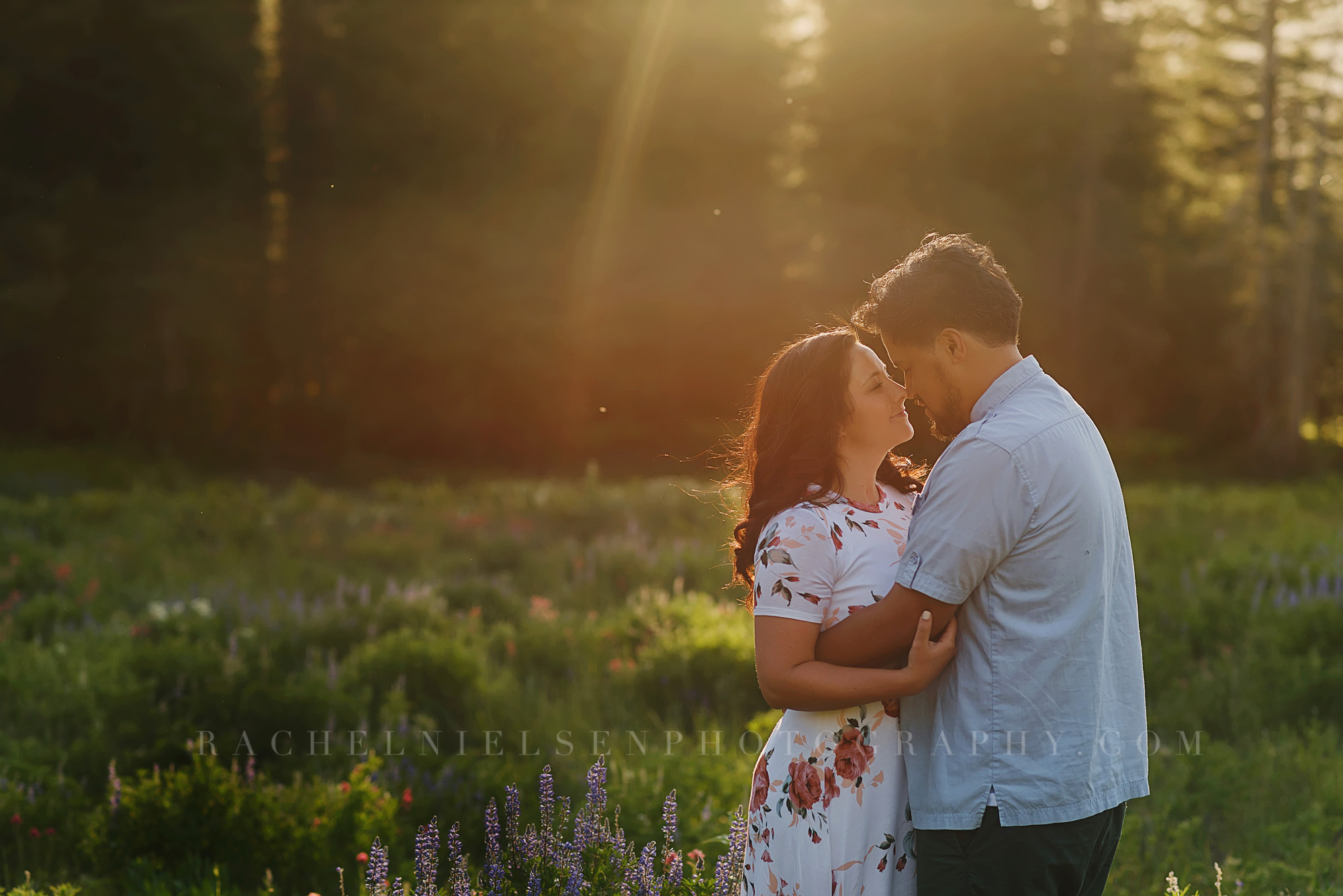 mountain engagement session - Albion Basin
