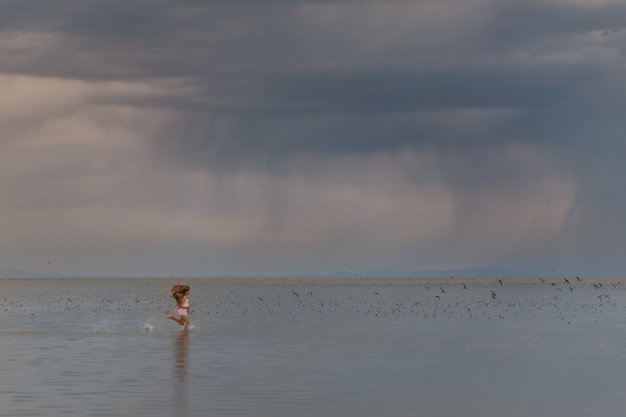 Rain and Birds