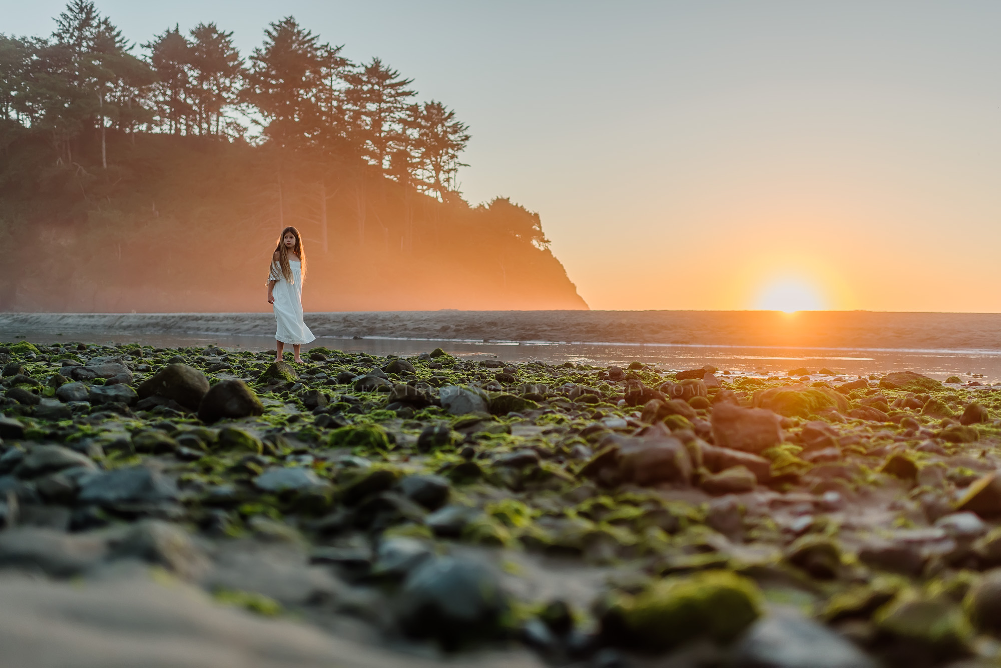 Oregon Coast Light Workshop